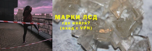 хмурый Магас