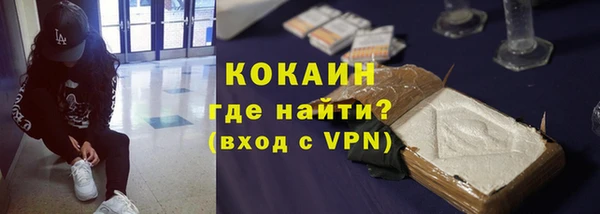 хмурый Магас