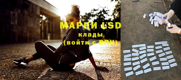 хмурый Магас
