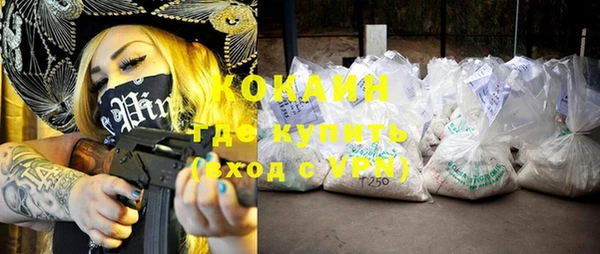 хмурый Магас
