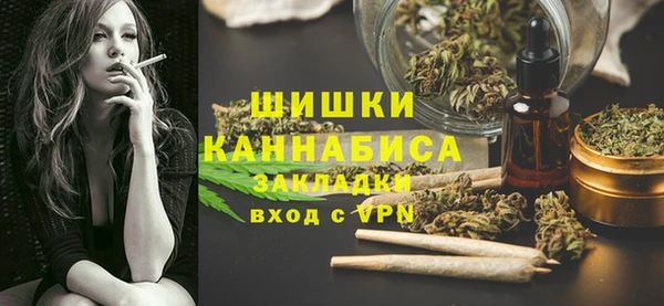 меф Гатчина