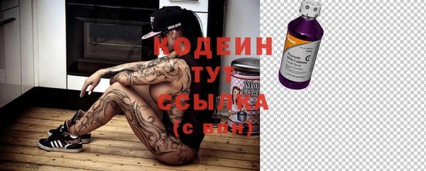 хмурый Магас