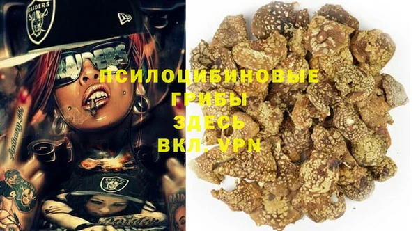 хмурый Магас