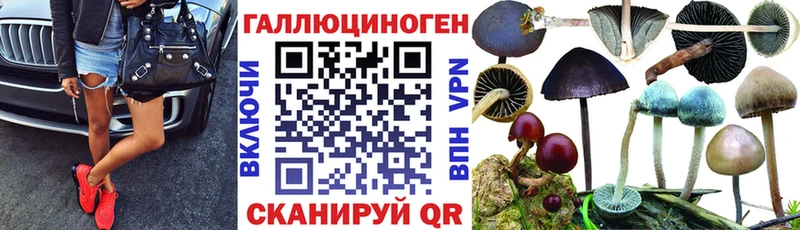 сколько стоит  Морозовск  Псилоцибиновые грибы MAGIC MUSHROOMS 